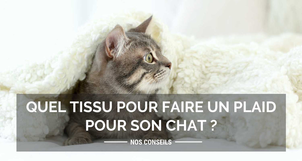 Aus welchem ​​Stoff soll eine Decke für Ihre Katze hergestellt werden?
