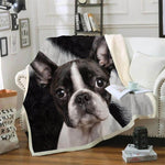 Plaid motif chien bulldog